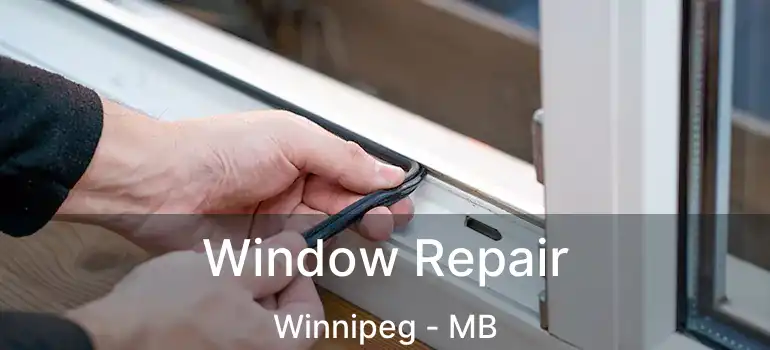  Window Repair Winnipeg - MB