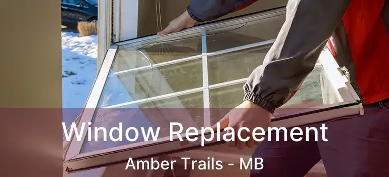  Window Replacement Amber Trails - MB
