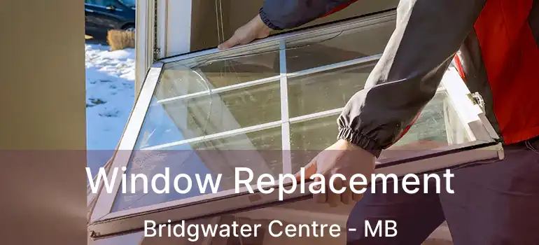  Window Replacement Bridgwater Centre - MB