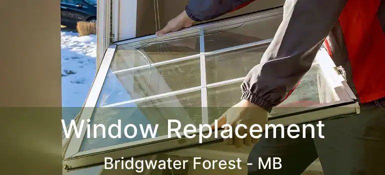  Window Replacement Bridgwater Forest - MB