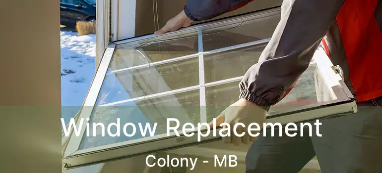  Window Replacement Colony - MB