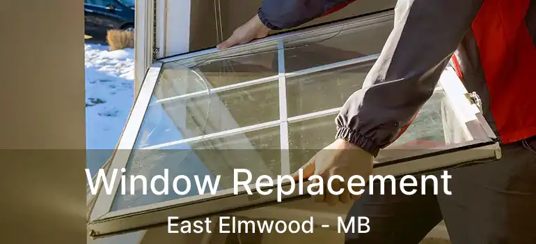  Window Replacement East Elmwood - MB