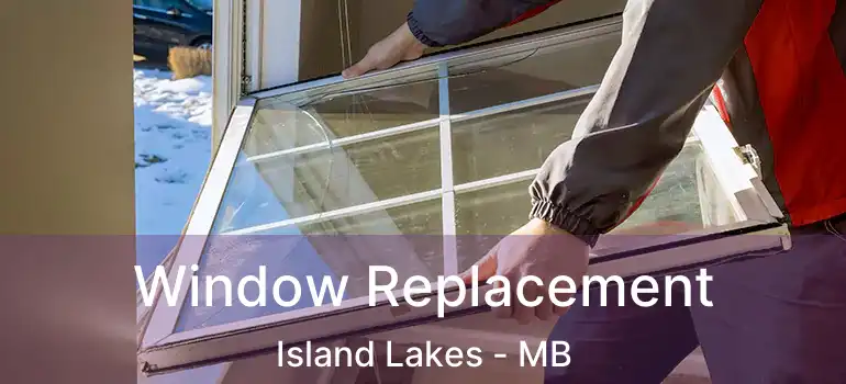  Window Replacement Island Lakes - MB