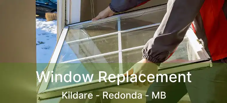  Window Replacement Kildare - Redonda - MB