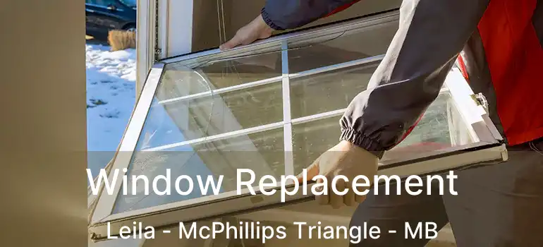  Window Replacement Leila - McPhillips Triangle - MB