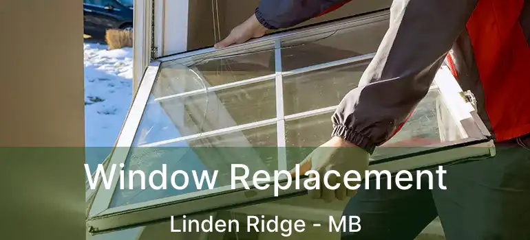  Window Replacement Linden Ridge - MB