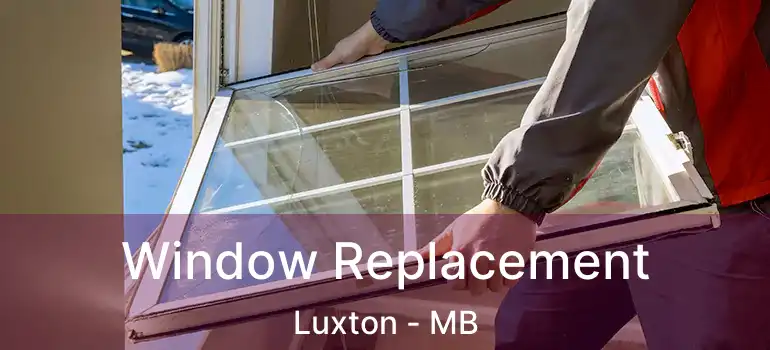  Window Replacement Luxton - MB