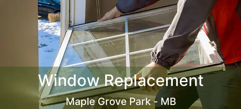  Window Replacement Maple Grove Park - MB