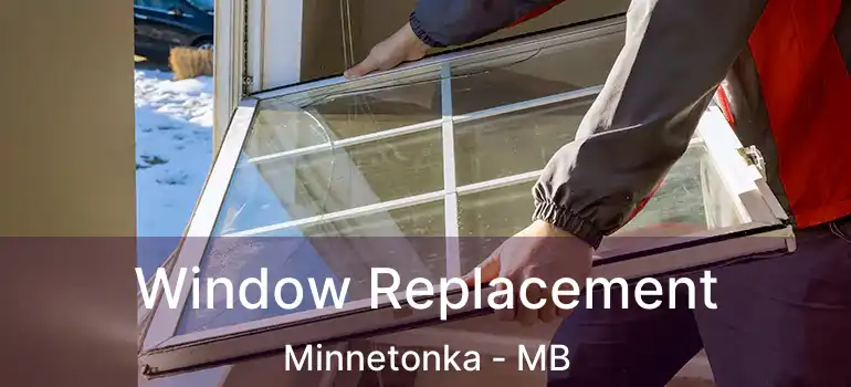  Window Replacement Minnetonka - MB