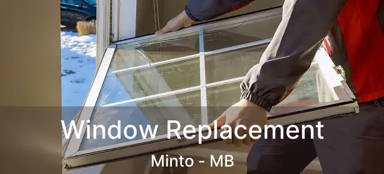  Window Replacement Minto - MB