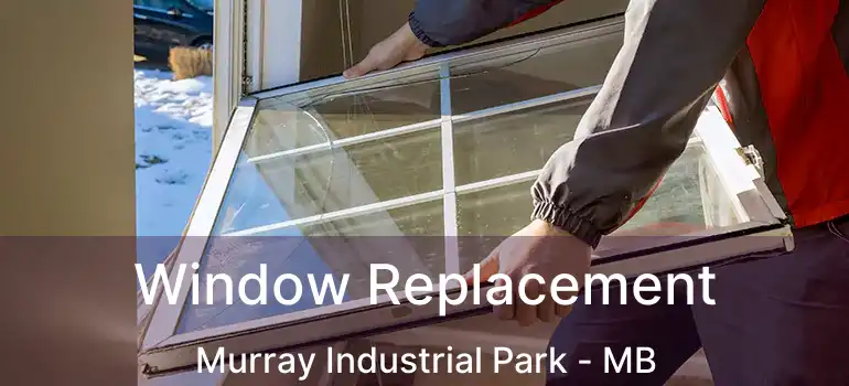  Window Replacement Murray Industrial Park - MB