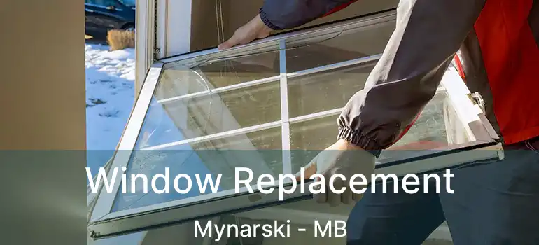  Window Replacement Mynarski - MB