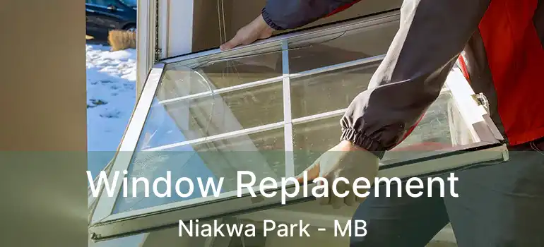  Window Replacement Niakwa Park - MB
