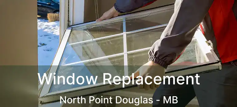  Window Replacement North Point Douglas - MB