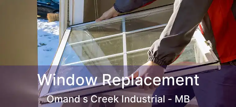  Window Replacement Omand s Creek Industrial - MB