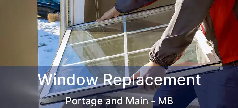  Window Replacement Portage and Main - MB