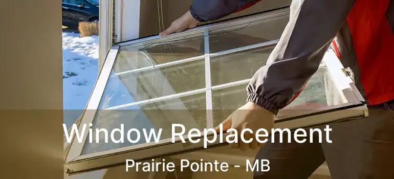  Window Replacement Prairie Pointe - MB