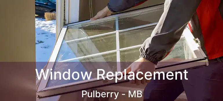  Window Replacement Pulberry - MB