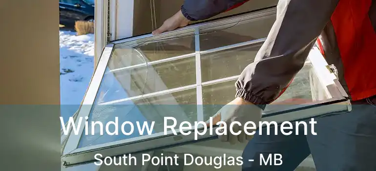  Window Replacement South Point Douglas - MB