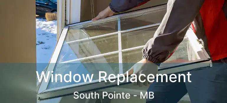  Window Replacement South Pointe - MB
