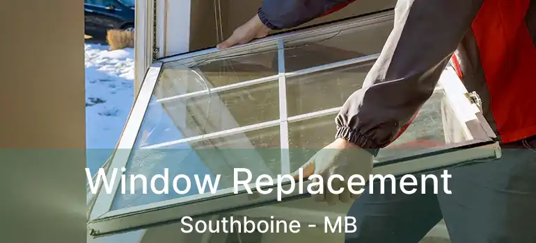  Window Replacement Southboine - MB