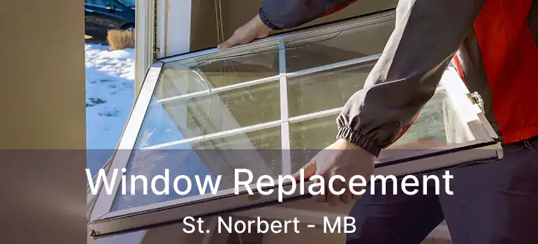  Window Replacement St. Norbert - MB