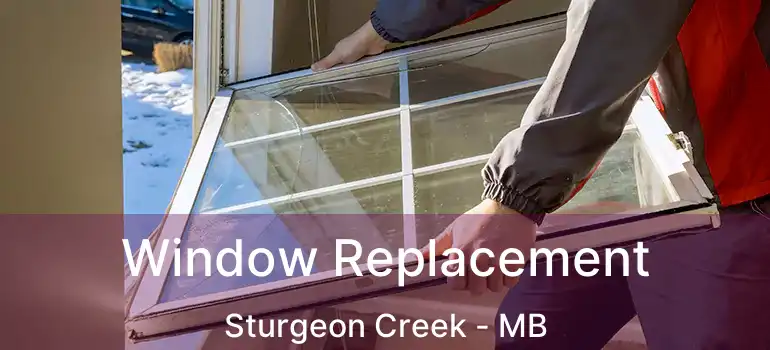  Window Replacement Sturgeon Creek - MB