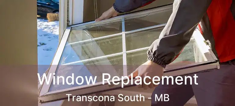  Window Replacement Transcona South - MB