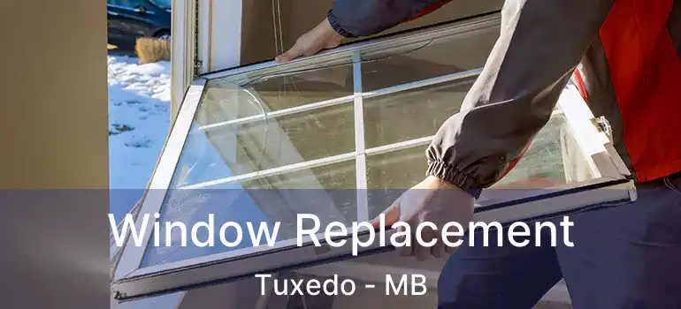  Window Replacement Tuxedo - MB