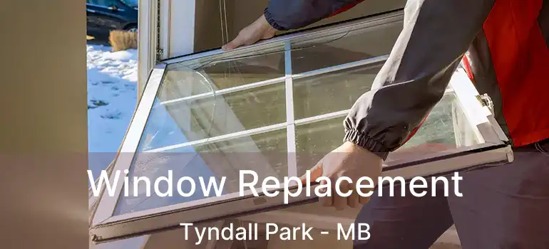  Window Replacement Tyndall Park - MB