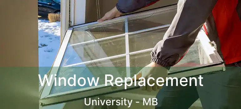  Window Replacement University - MB