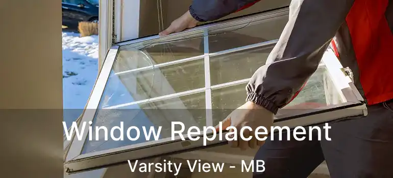  Window Replacement Varsity View - MB