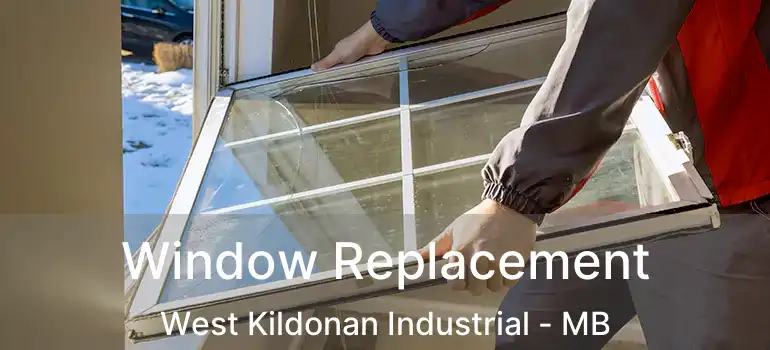  Window Replacement West Kildonan Industrial - MB