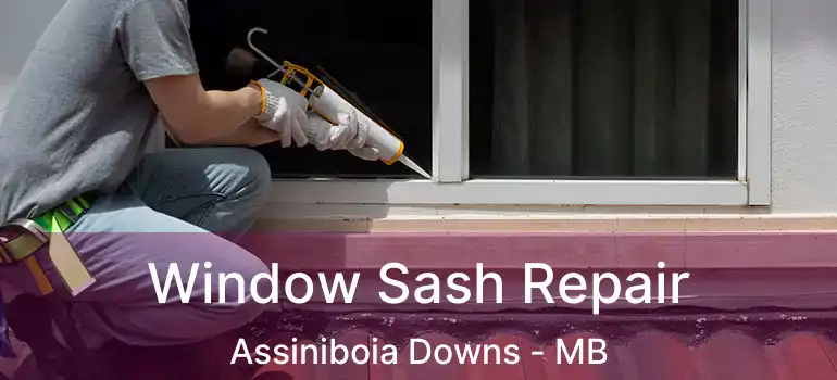  Window Sash Repair Assiniboia Downs - MB
