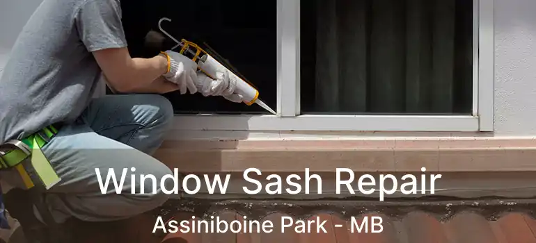  Window Sash Repair Assiniboine Park - MB
