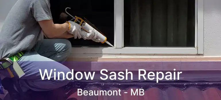  Window Sash Repair Beaumont - MB