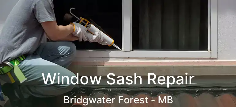  Window Sash Repair Bridgwater Forest - MB