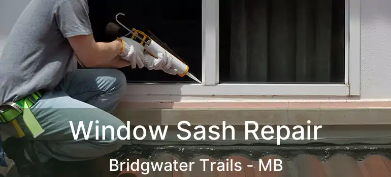  Window Sash Repair Bridgwater Trails - MB