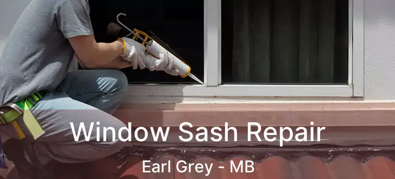  Window Sash Repair Earl Grey - MB
