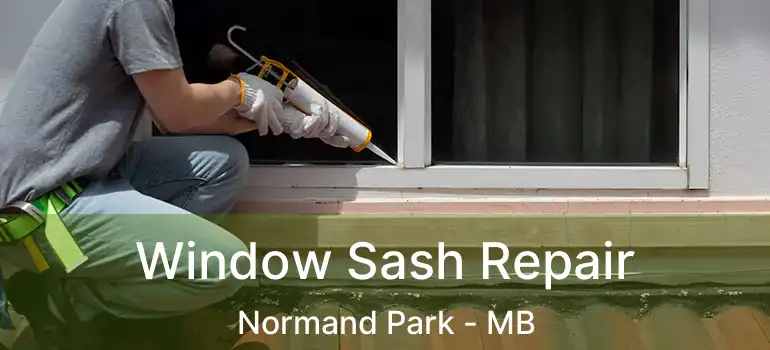  Window Sash Repair Normand Park - MB
