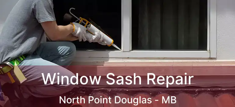  Window Sash Repair North Point Douglas - MB