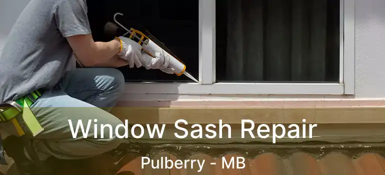  Window Sash Repair Pulberry - MB