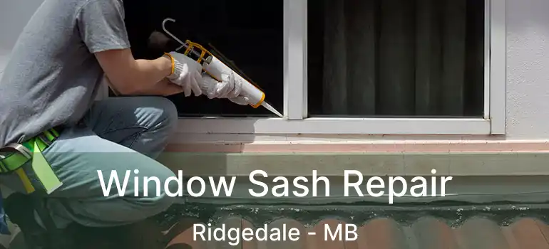  Window Sash Repair Ridgedale - MB