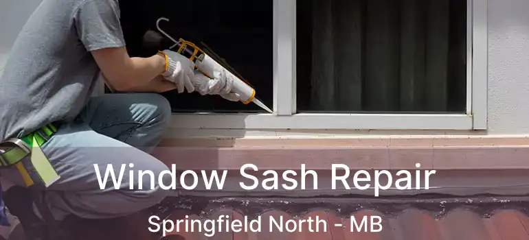  Window Sash Repair Springfield North - MB