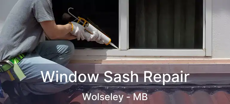  Window Sash Repair Wolseley - MB