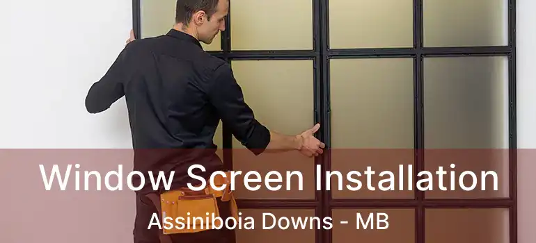  Window Screen Installation Assiniboia Downs - MB