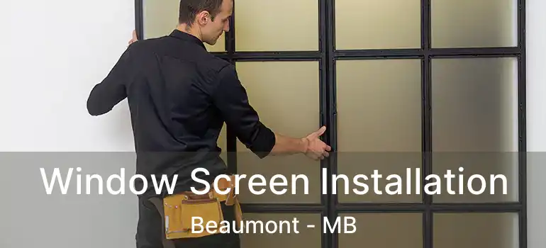 Window Screen Installation Beaumont - MB