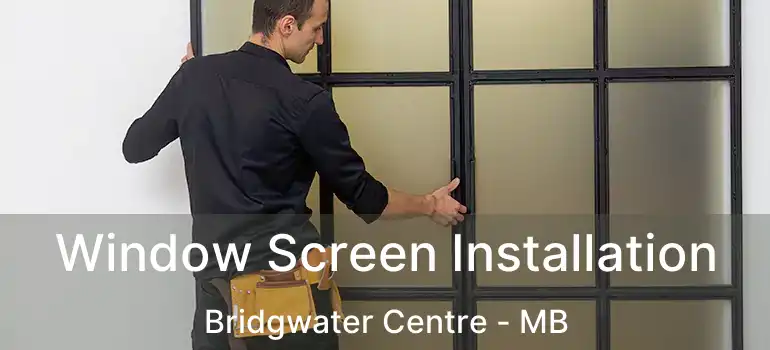  Window Screen Installation Bridgwater Centre - MB