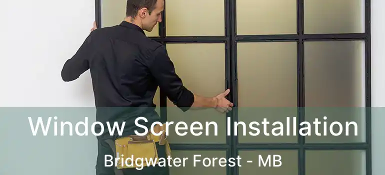  Window Screen Installation Bridgwater Forest - MB