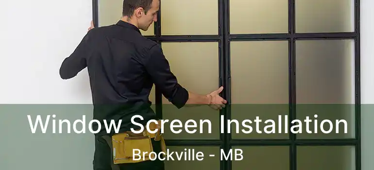  Window Screen Installation Brockville - MB
